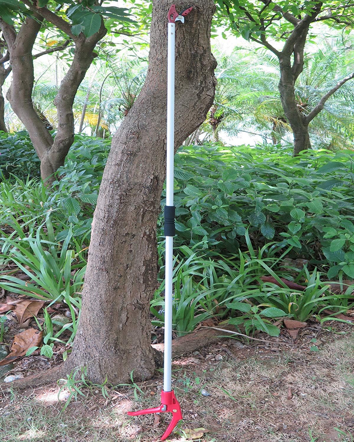 6FT Long Reach Pruner and Fruit Picker with Cut & Hold Feature, Lightweight 1.43lb Aluminum Pole with 90° Rotating Head, High Carbon Steel Sharp Blade, Ergonomic Tree Trimmer for High Branches
