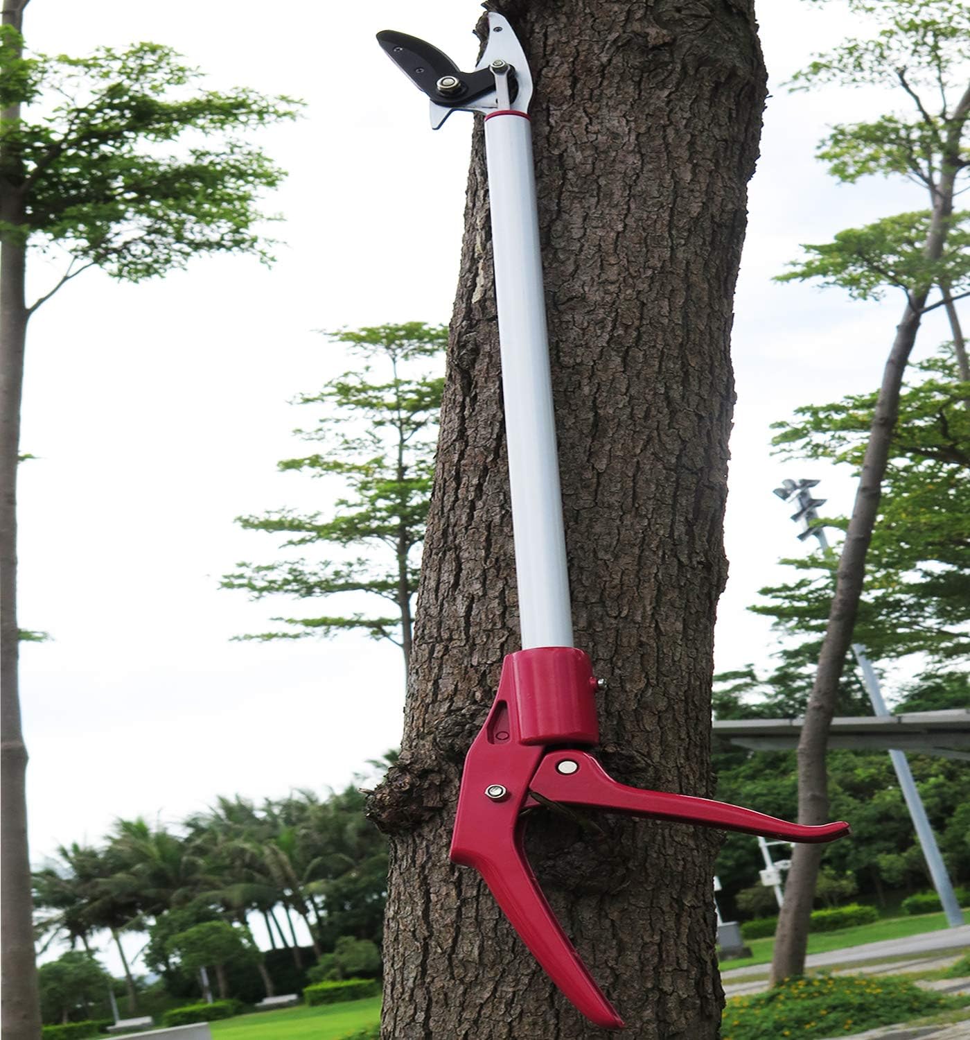 6FT Long Reach Pruner and Fruit Picker with Cut & Hold Feature, Lightweight 1.43lb Aluminum Pole with 90° Rotating Head, High Carbon Steel Sharp Blade, Ergonomic Tree Trimmer for High Branches