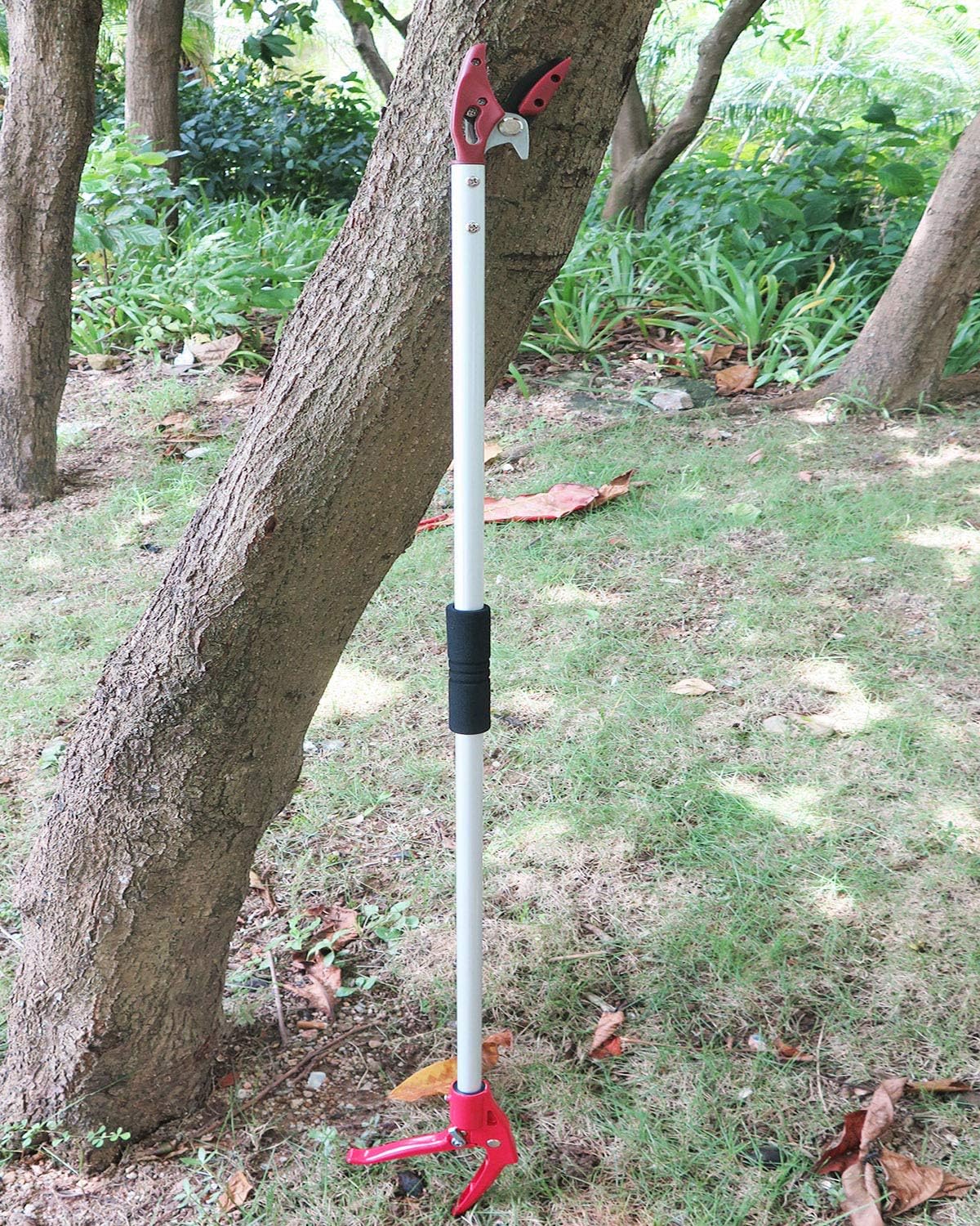 6FT Long Reach Pruner and Fruit Picker with Cut & Hold Feature, Lightweight 1.43lb Aluminum Pole with 90° Rotating Head, High Carbon Steel Sharp Blade, Ergonomic Tree Trimmer for High Branches