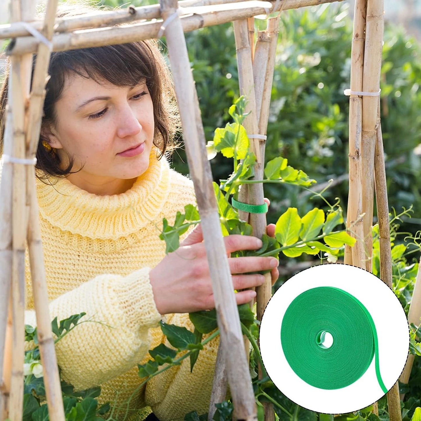Kecoya 100 Feet Green Garden Tape Plant Ties for Climbing Plant Garden Ties Plant Tape, 1/2'' Wide Reusable Garden Tape Plant Support for Climbing Plants, Flowers, Vine, Tomato Ties Adjustable.