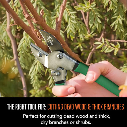 8 in. Anvil Pruning Shears – 1/2 in. Cutting Capacity, Heavy-Duty Garden Pruner for Dry Stems and Dead Wood, Sap Resistant – Comfort Grip with Sharp Carbon Steel Blade for Yard and Garden Use