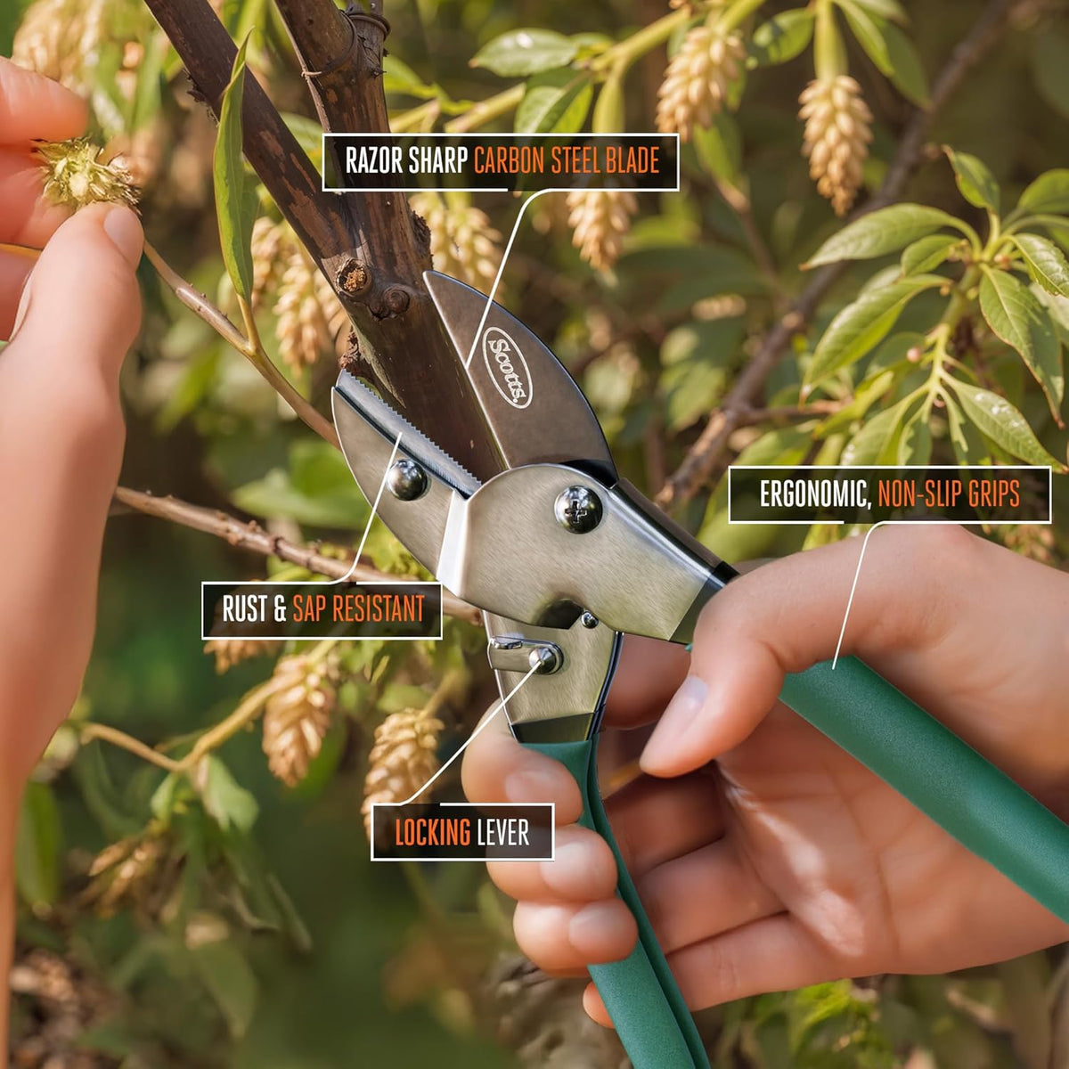 8 in. Anvil Pruning Shears – 1/2 in. Cutting Capacity, Heavy-Duty Garden Pruner for Dry Stems and Dead Wood, Sap Resistant – Comfort Grip with Sharp Carbon Steel Blade for Yard and Garden Use