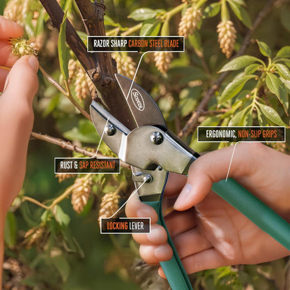 8 in. Anvil Pruning Shears – 1/2 in. Cutting Capacity, Heavy-Duty Garden Pruner for Dry Stems and Dead Wood, Sap Resistant – Comfort Grip with Sharp Carbon Steel Blade for Yard and Garden Use