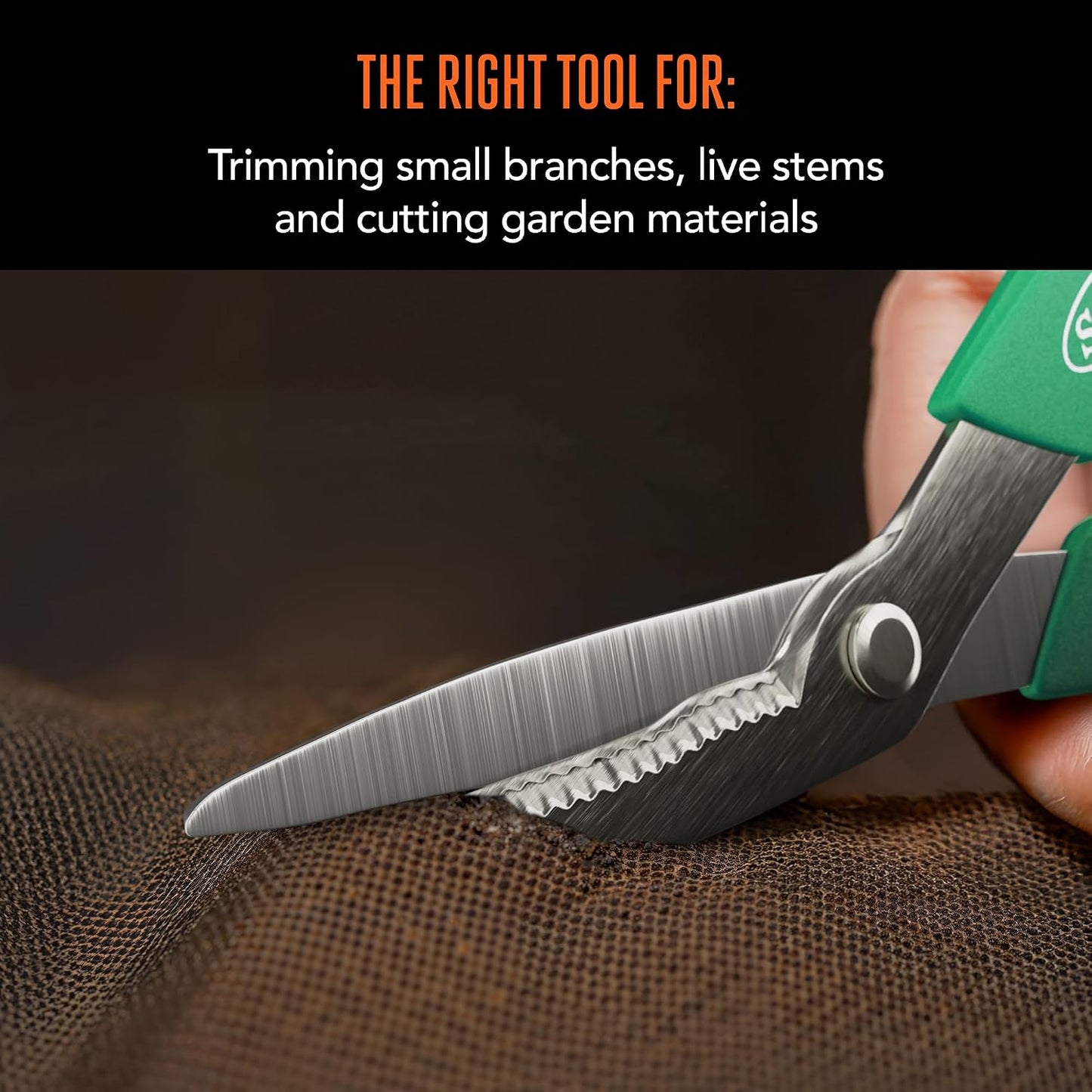 8 in. Anvil Pruning Shears – 1/2 in. Cutting Capacity, Heavy-Duty Garden Pruner for Dry Stems and Dead Wood, Sap Resistant – Comfort Grip with Sharp Carbon Steel Blade for Yard and Garden Use