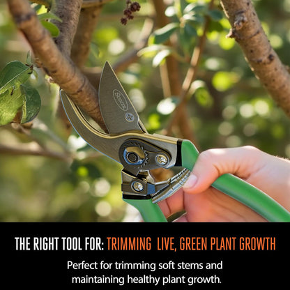 8 in. Anvil Pruning Shears – 1/2 in. Cutting Capacity, Heavy-Duty Garden Pruner for Dry Stems and Dead Wood, Sap Resistant – Comfort Grip with Sharp Carbon Steel Blade for Yard and Garden Use