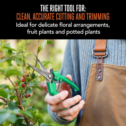 8 in. Anvil Pruning Shears – 1/2 in. Cutting Capacity, Heavy-Duty Garden Pruner for Dry Stems and Dead Wood, Sap Resistant – Comfort Grip with Sharp Carbon Steel Blade for Yard and Garden Use