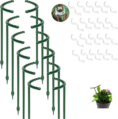 12 Pack Plant Support for Indoor and Outdoor Small Plants