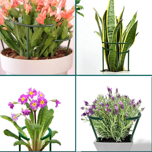 12 Pack Plant Support for Indoor and Outdoor Small Plants