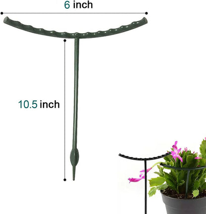 12 Pack Plant Support for Indoor and Outdoor Small Plants