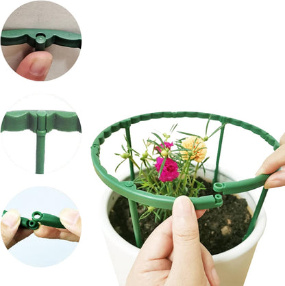 12 Pack Plant Support for Indoor and Outdoor Small Plants