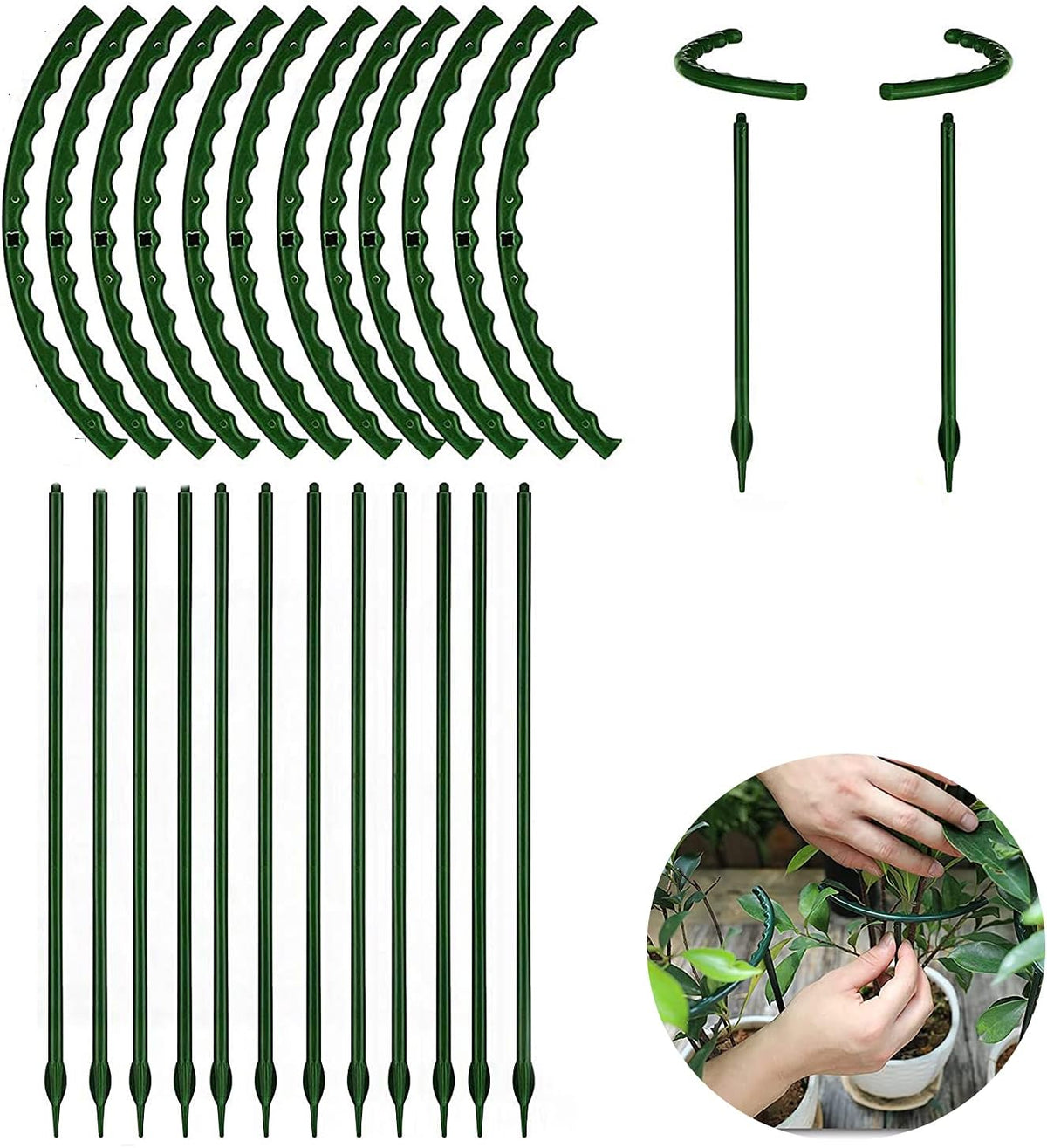 12 Pack Plant Support for Indoor and Outdoor Small Plants