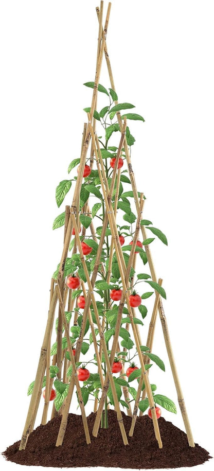 Garden Bamboo Trellis for Climbing Plants Outdoor, Adjustable Height 60 to 70inches Tall Cucumber Trellis, Obelisk Plant Support for Climbing Vine Vegetable Tomato Peas Bean