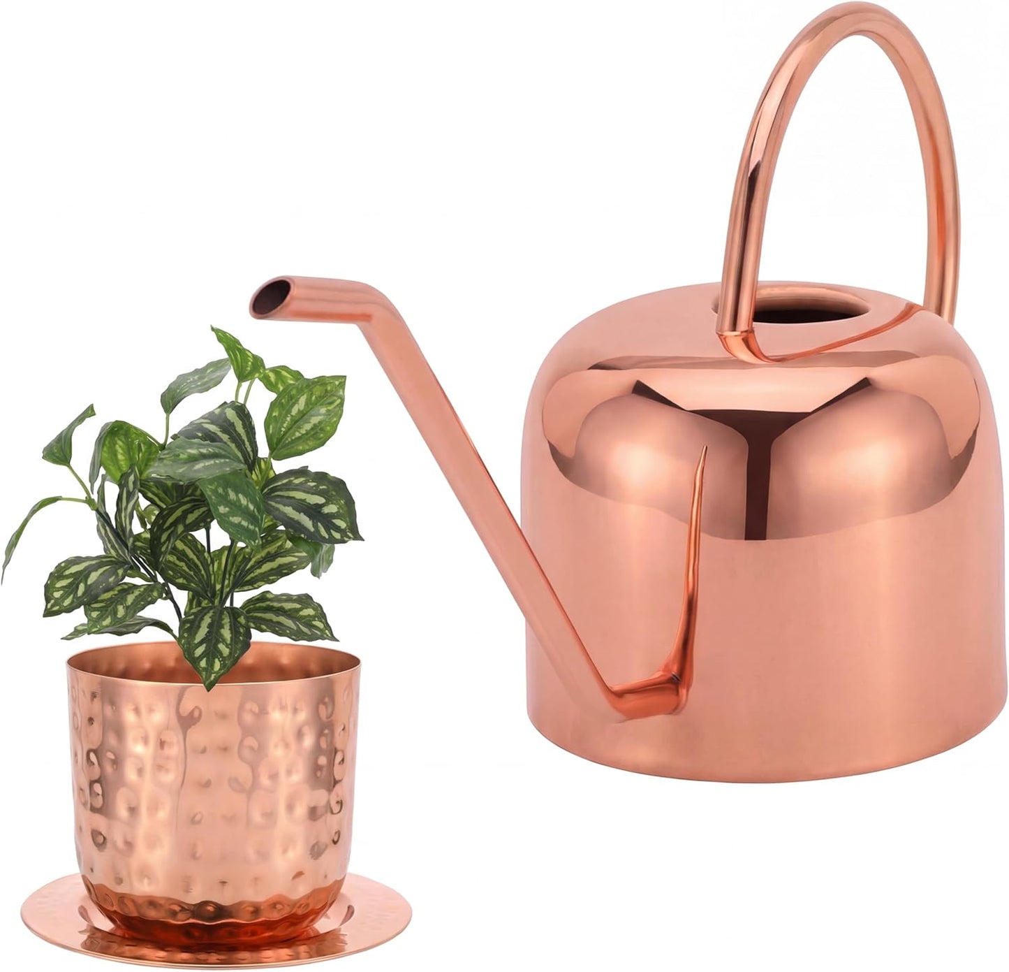Indoor Watering Can and Planter with Plate.