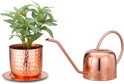 Indoor Watering Can and Planter with Plate.