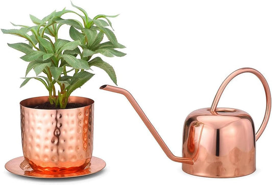 Indoor Watering Can and Planter with Plate.