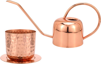 Indoor Watering Can and Planter with Plate.