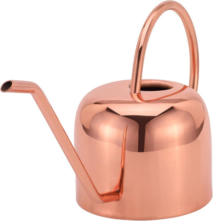 Indoor Watering Can and Planter with Plate.
