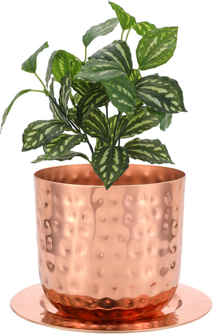 Indoor Watering Can and Planter with Plate.