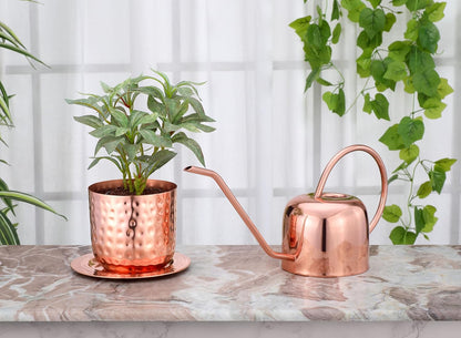 Indoor Watering Can and Planter with Plate.