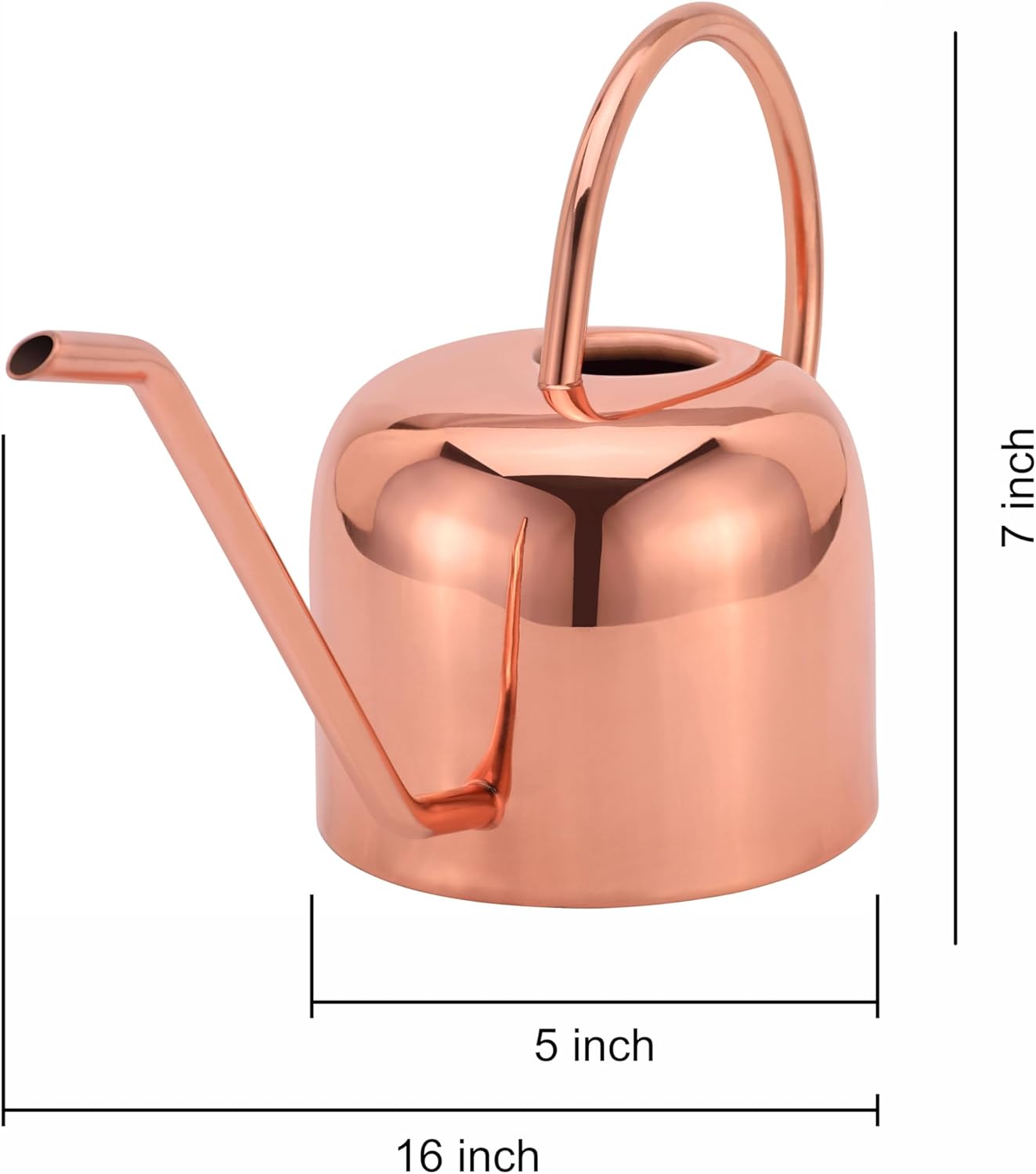 Indoor Watering Can and Planter with Plate.