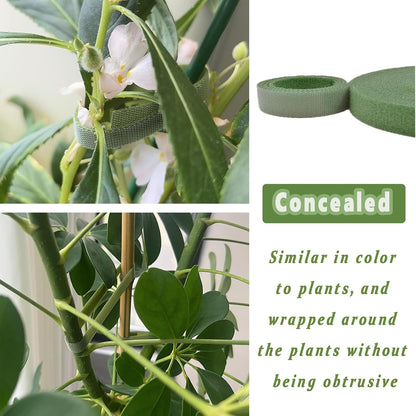 Garden Ties Reusable Plant Ties for Climbing Plants, Adjustable Plant Cable Straps for Support Indoor Outdoor Plant Growth Staking, Training & Organizing (60 ft)