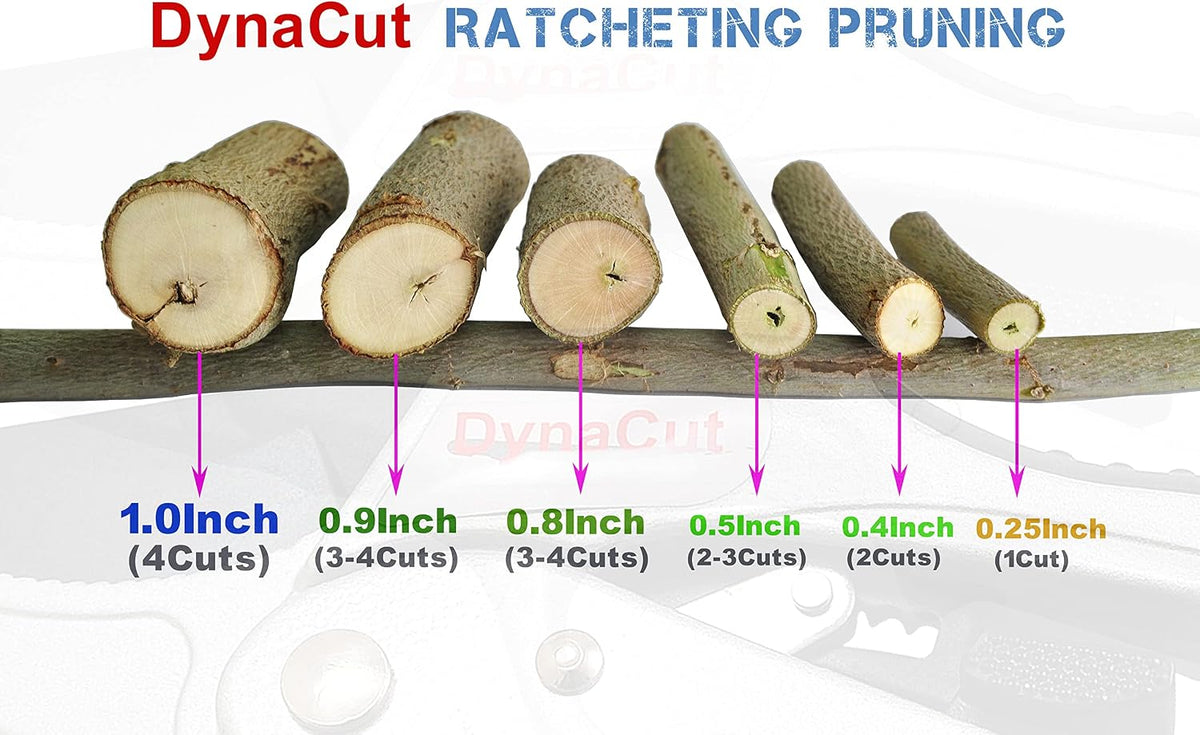 Ratcheting Pruning Shears Gardening Heavy Duty 8'', Professional Ratchet Pruning Scissors Cutter Anvil Clippers - Tree Trimmers Up To 20mm Cutting Capacity, Soft Non-Slip Grip Reduce Hand Fatigue