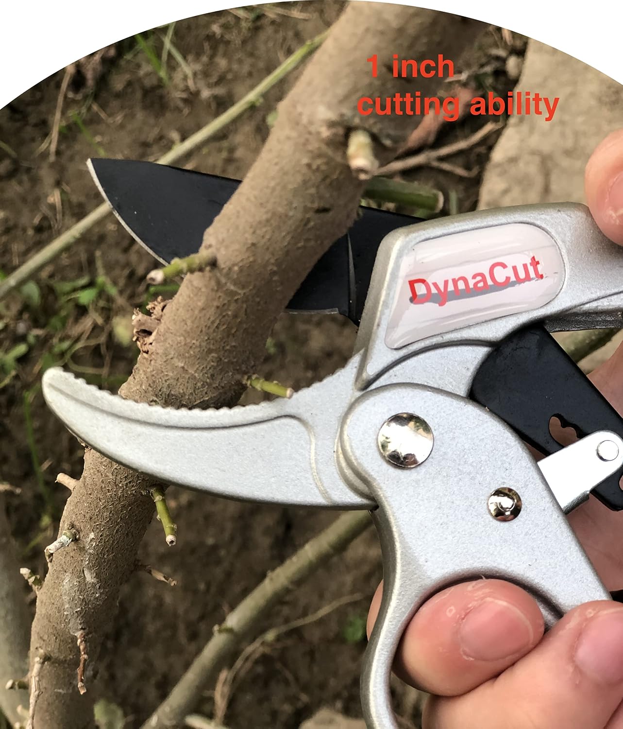 Ratcheting Pruning Shears Gardening Heavy Duty 8'', Professional Ratchet Pruning Scissors Cutter Anvil Clippers - Tree Trimmers Up To 20mm Cutting Capacity, Soft Non-Slip Grip Reduce Hand Fatigue