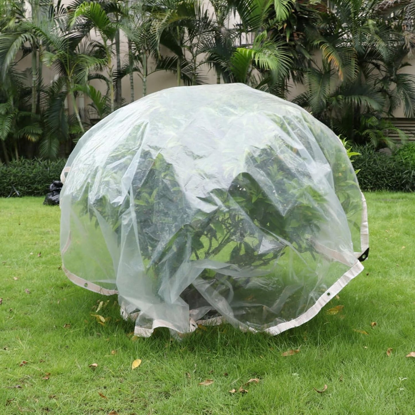 Clear Tarps Waterproof with Grommets 6mil Plant Cover Freeze Protection Frost Plastic Sheeting Rain Tarps Greenhouse Tarp Tarpaulin Protective Tent for Patio Garden Chicken Coop (9'9"x13')