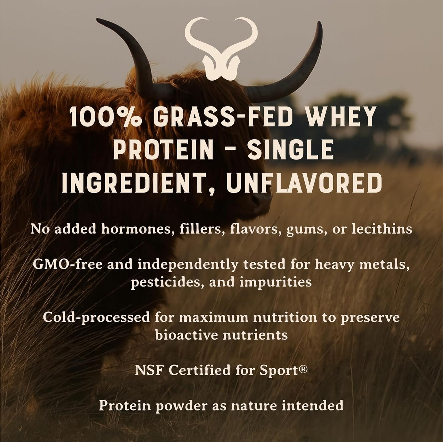 Grass Fed Whey Protein Powder, Unflavored, 2 lbs