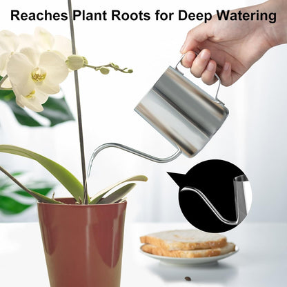Small Watering Can for Indoor Plants, Plant Watering Can, 12 oz