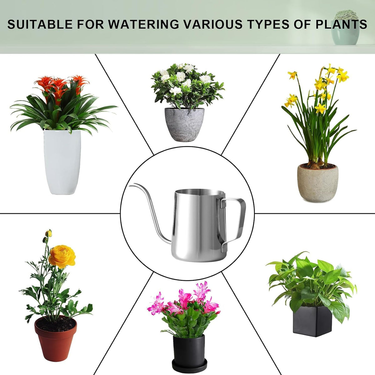 Small Watering Can for Indoor Plants, Plant Watering Can, 12 oz