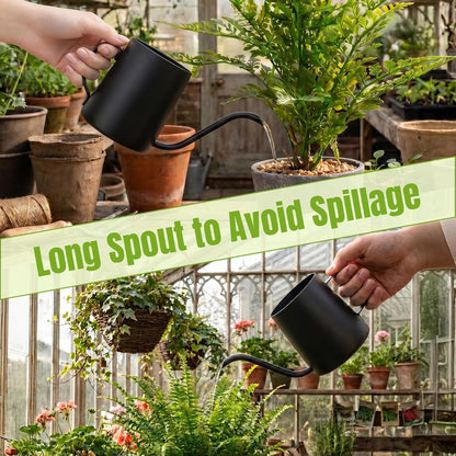 Small Watering Can for Indoor Plants, Plant Watering Can, 12 oz