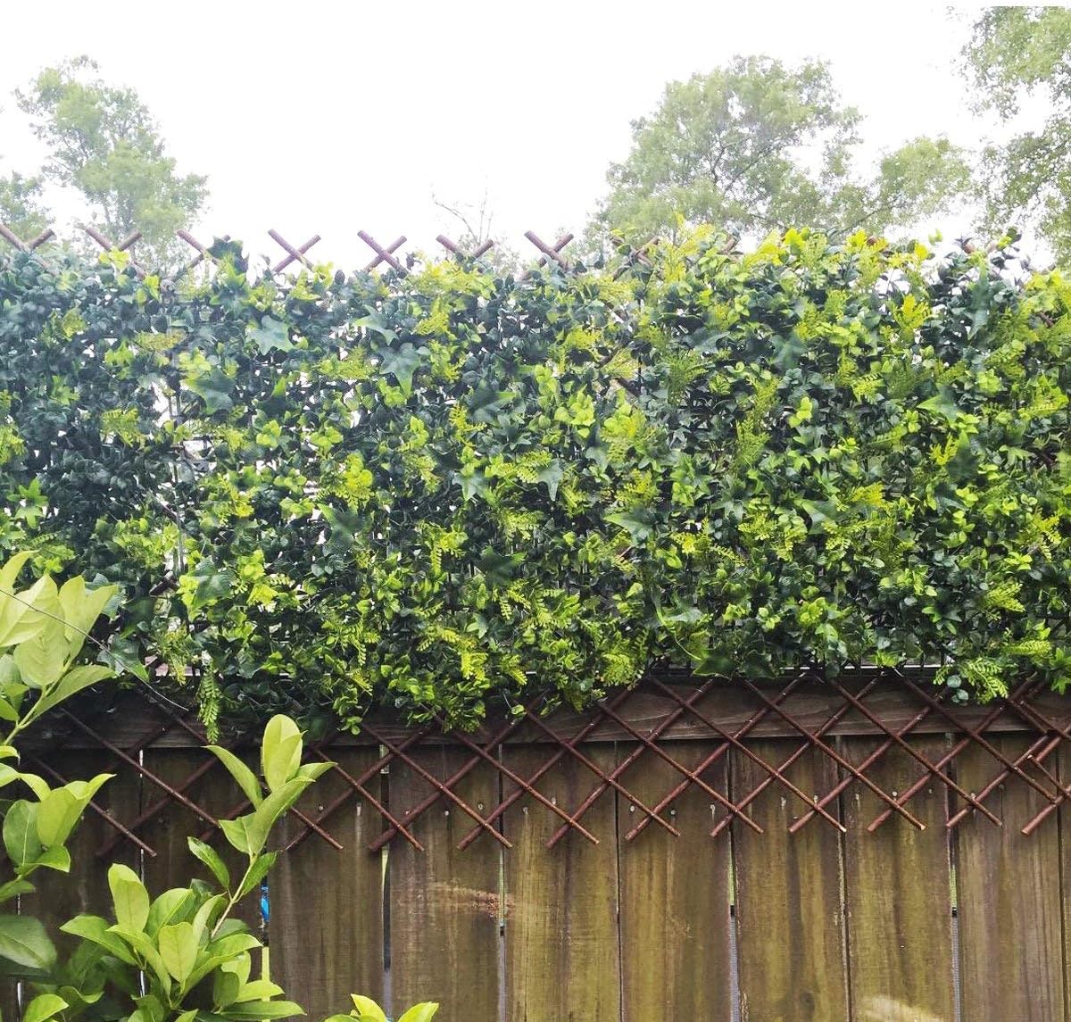 Lattice Fence Willow Expandable Plant Climbing Lattices Trellis Fence,Open Screen Fencing,Willow (1)