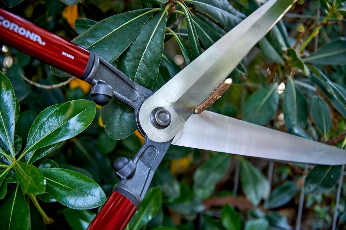 Corona AH6970 Forged Aluminum Handle Hedge Shear with 10-1/2