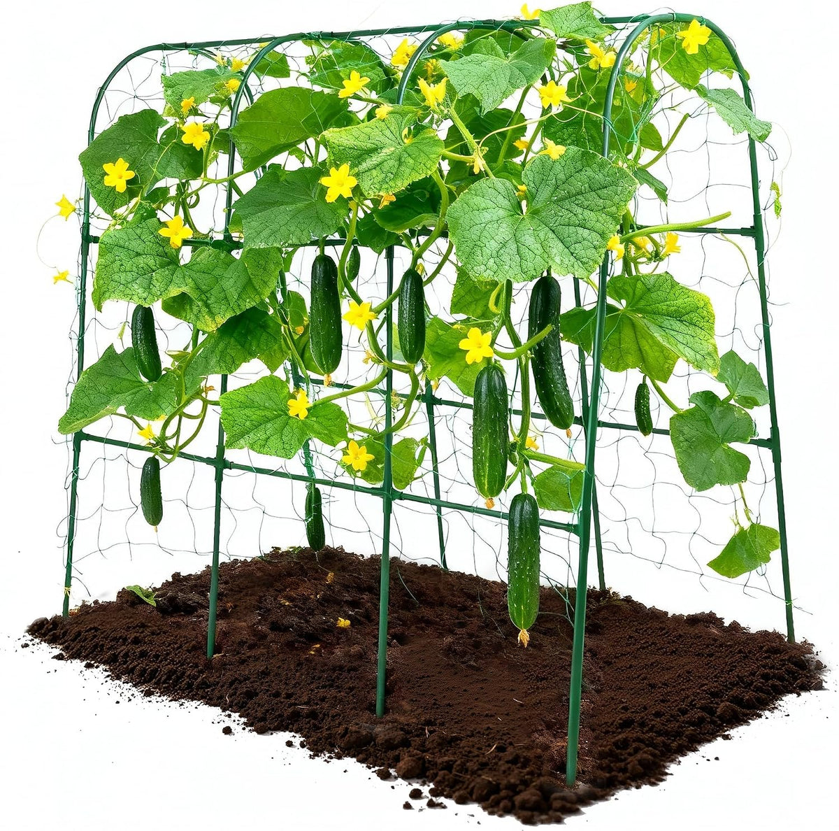 47''X47''Cucumber Trellis, Garden Trellis U-Shape Plant Support for Climbing Plants Metel Arch with Netting for Raised Garden Bed Outdoor Cucumbers, Tomatoes, Vine Climbing Plant