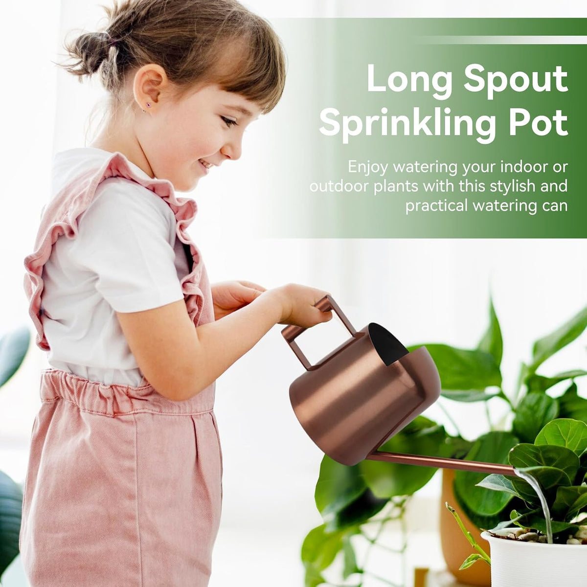 Watering Can 10oz/300ml, Stainless Steel Long Spout Watering Pot Watering Sprinkling Pot for Indoor Outdoor Garden Flower Succulents Plant