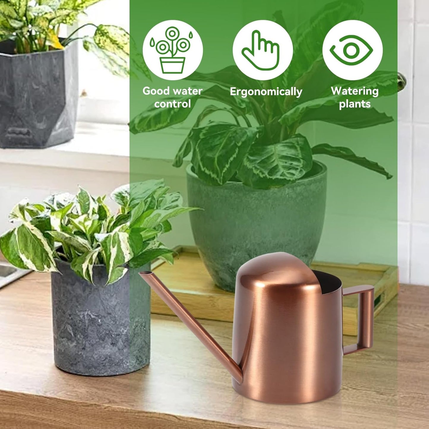 Watering Can 10oz/300ml, Stainless Steel Long Spout Watering Pot Watering Sprinkling Pot for Indoor Outdoor Garden Flower Succulents Plant