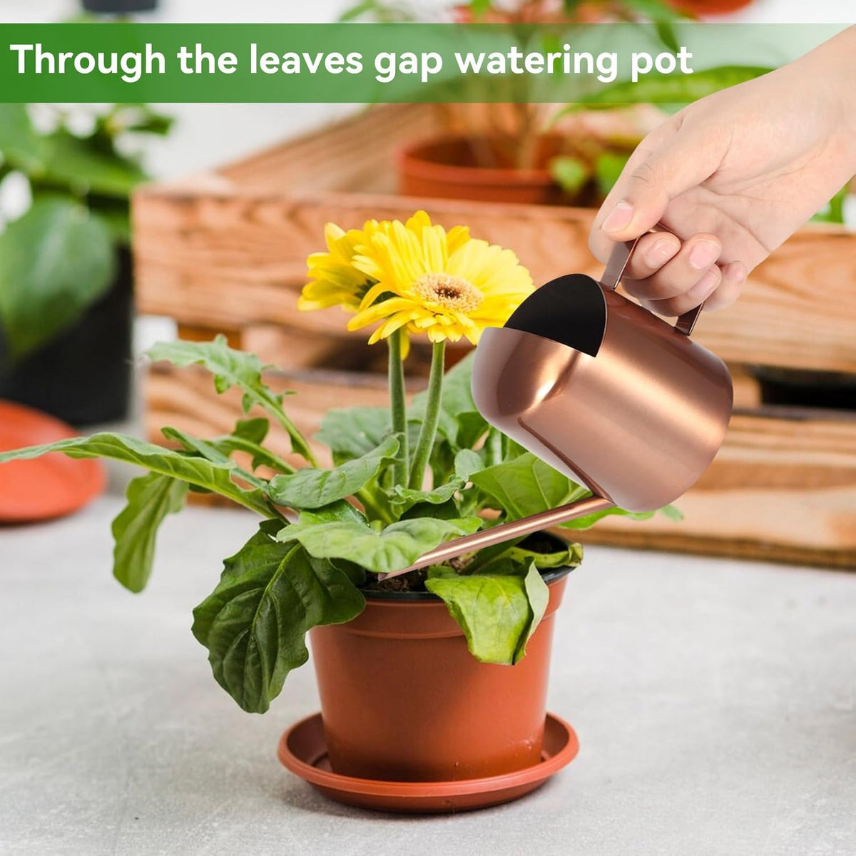 Watering Can 10oz/300ml, Stainless Steel Long Spout Watering Pot Watering Sprinkling Pot for Indoor Outdoor Garden Flower Succulents Plant