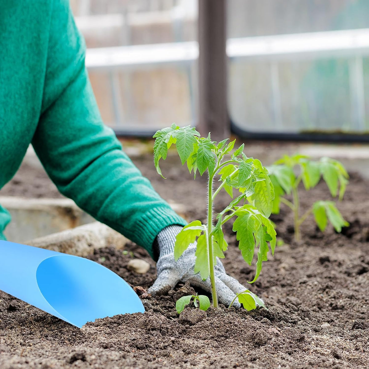 Bonsai Soil Scoop 6.3" x 1.8" Plastic Colorful Mini Garden Shovel Cultivation Digging Transplanting Tools for Plant Flower Succulent Coffee Beans, White