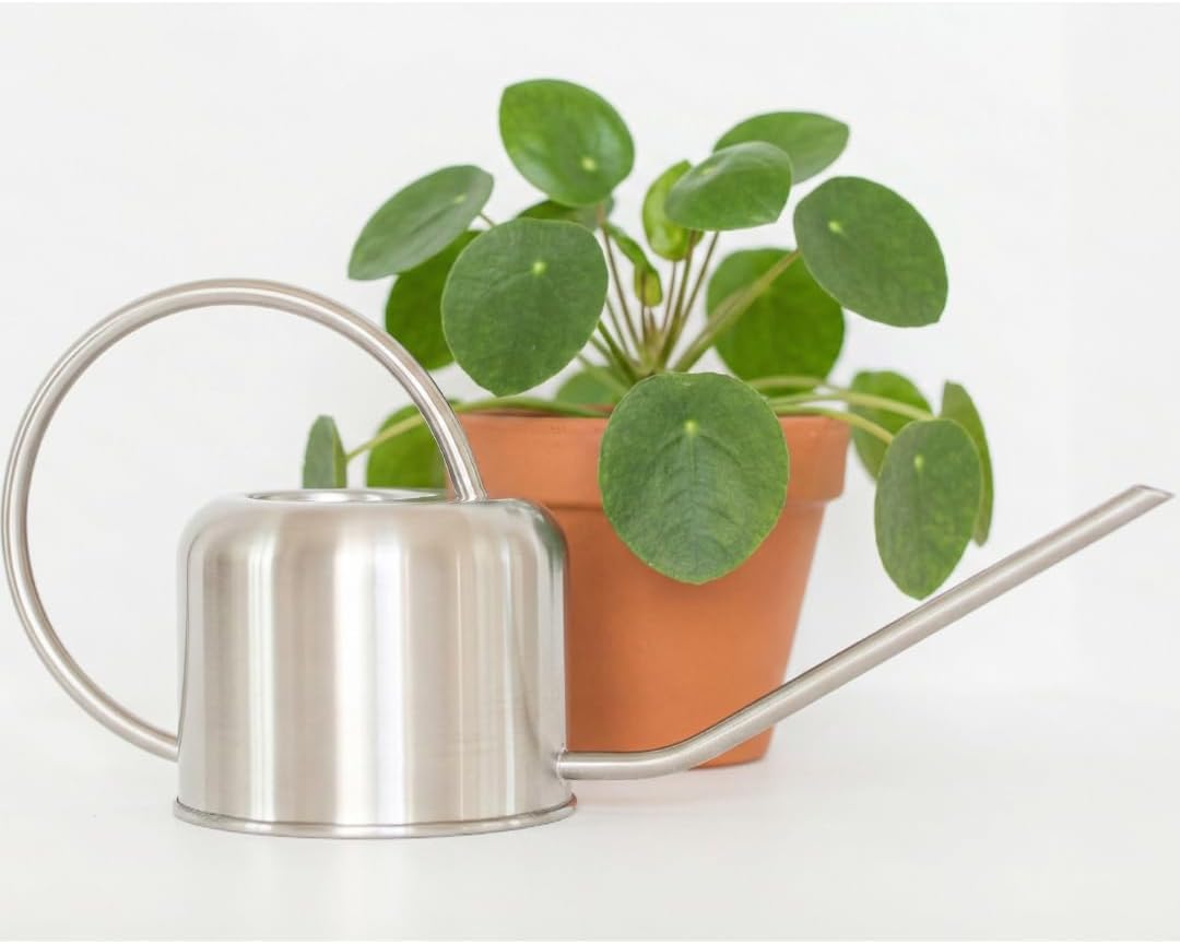 Stainless Steel Houseplant Watering Can, Brushed Gold, 1L Capacity