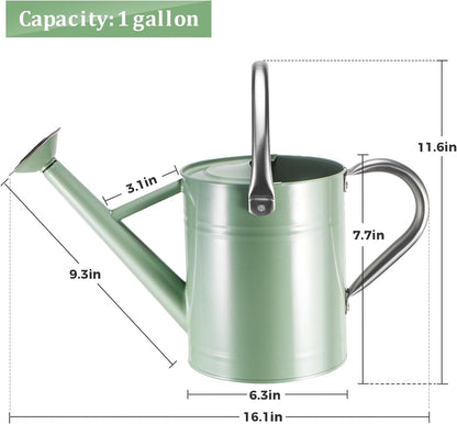 1 Gallon Watering Can for Outdoor&Indoor Plants，Yellow