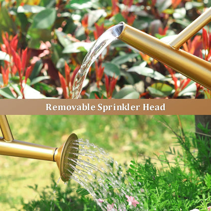 1 Gallon Watering Can for Outdoor&Indoor Plants，Yellow