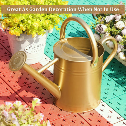 1 Gallon Watering Can for Outdoor&Indoor Plants，Yellow