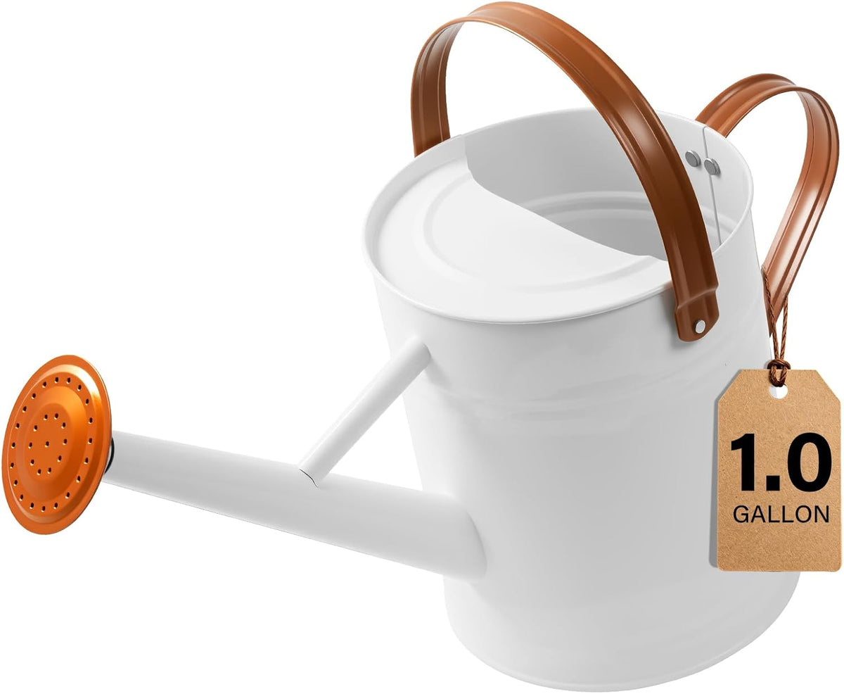 1 Gallon Watering Can for Outdoor&Indoor Plants，Yellow