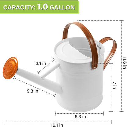 1 Gallon Watering Can for Outdoor&Indoor Plants，Yellow