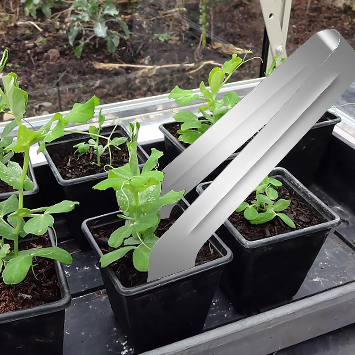 2Pcs Seedling Transplant Tongs, Gardening Plants Transplant Tongs Stainless Steel Seedling Remove Transplanting Pliers, Gardening Supplies Plant Seed Starting Tools, Reduce Root Damage (8.7 Inch)