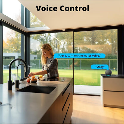 Zigbee Sprinkler Timer, Gateway Required, Smart Controller Voice Control with Alexa and Google Home, Automate Irrigation for Garden, Lawn, Pool, Outdoor Watering, SWV-NH, Black