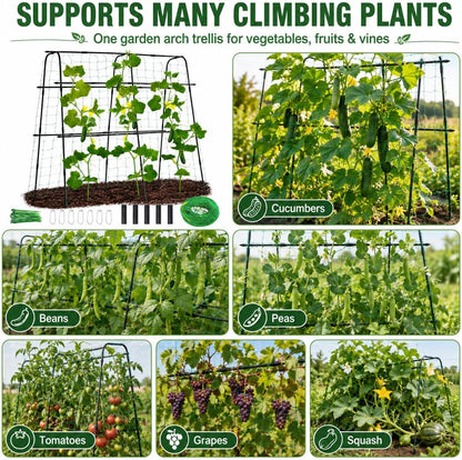 63x63 Cucumber Trellis for Raised Garden Bed, Black