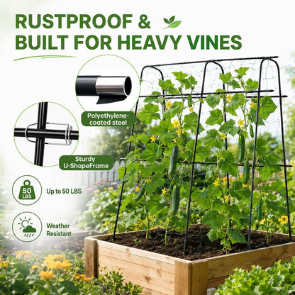 63x63 Cucumber Trellis for Raised Garden Bed, Black