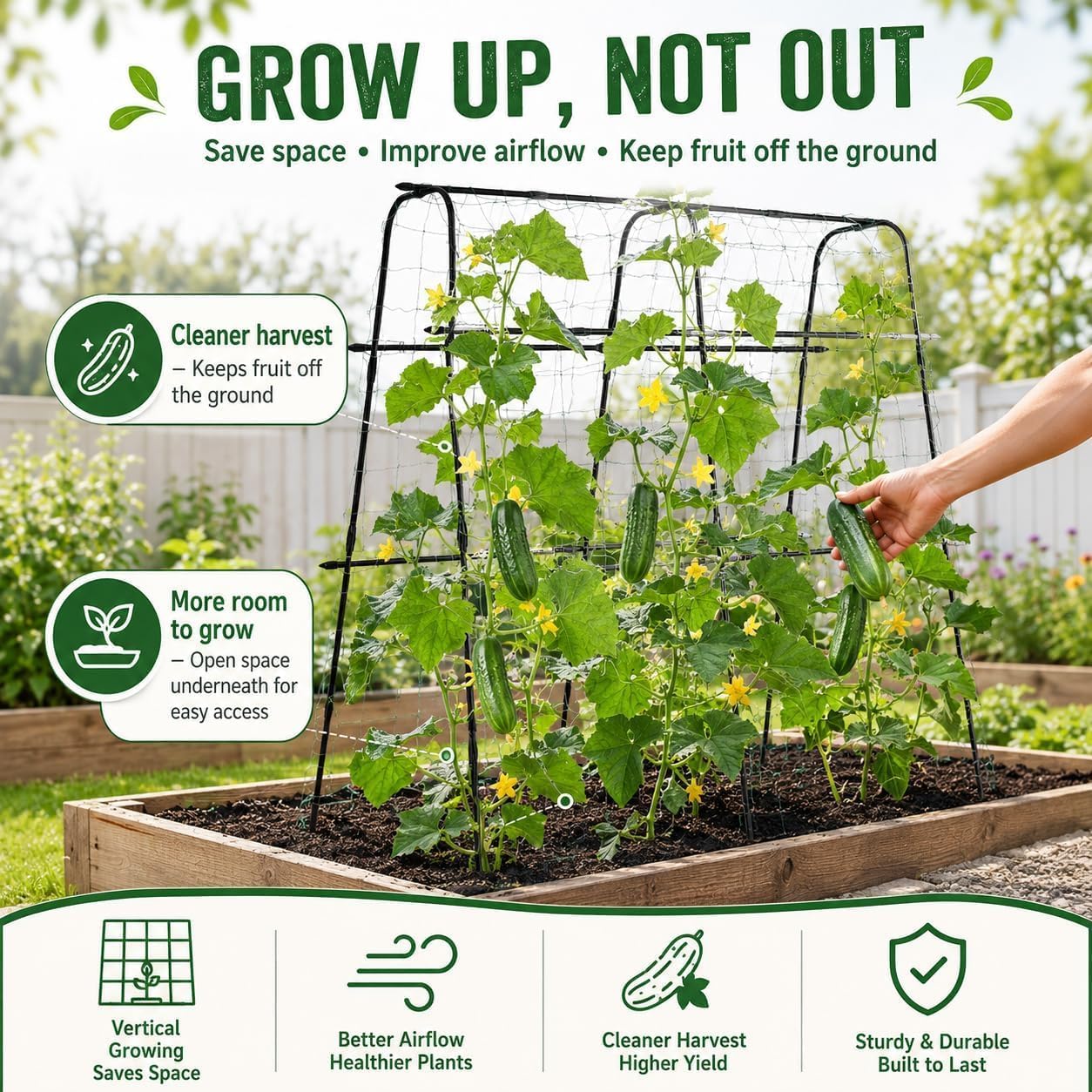 63x63 Cucumber Trellis for Raised Garden Bed, Black